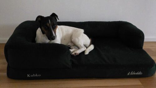 Smotanová Útulňa photo review