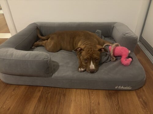 Smotanová Útulňa photo review