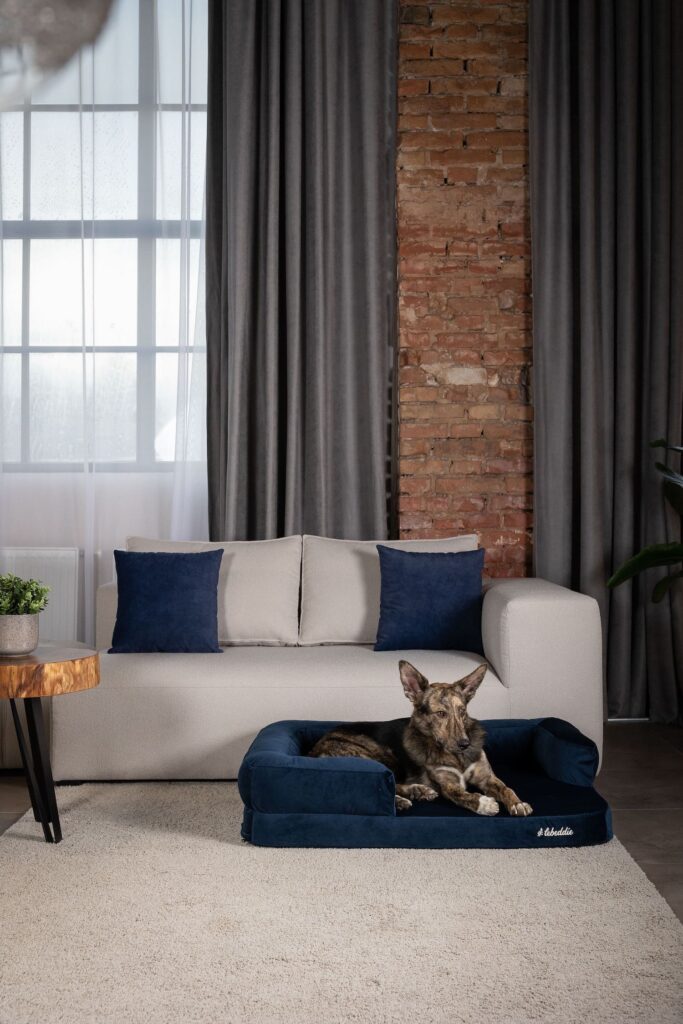 Modrá útulňa v interiéri